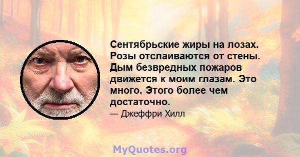 Сентябрьские жиры на лозах. Розы отслаиваются от стены. Дым безвредных пожаров движется к моим глазам. Это много. Этого более чем достаточно.