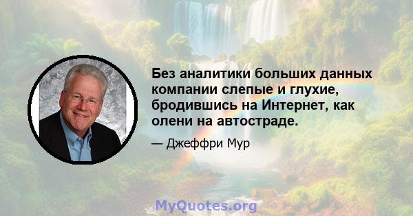 Без аналитики больших данных компании слепые и глухие, бродившись на Интернет, как олени на автостраде.