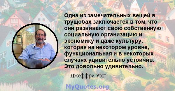 Одна из замечательных вещей в трущобах заключается в том, что они развивают свою собственную социальную организацию и экономику и даже культуру, которая на некотором уровне, функциональная и в некоторых случаях