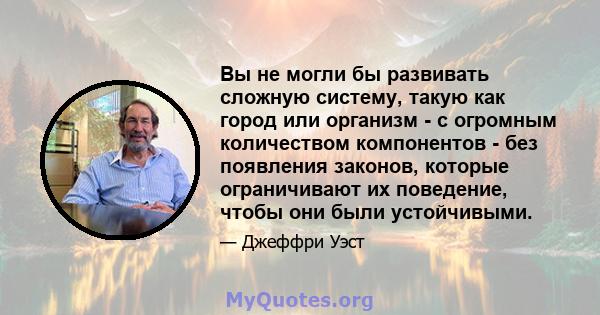 Вы не могли бы развивать сложную систему, такую ​​как город или организм - с огромным количеством компонентов - без появления законов, которые ограничивают их поведение, чтобы они были устойчивыми.