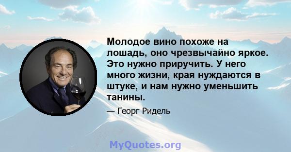 Молодое вино похоже на лошадь, оно чрезвычайно яркое. Это нужно приручить. У него много жизни, края нуждаются в штуке, и нам нужно уменьшить танины.