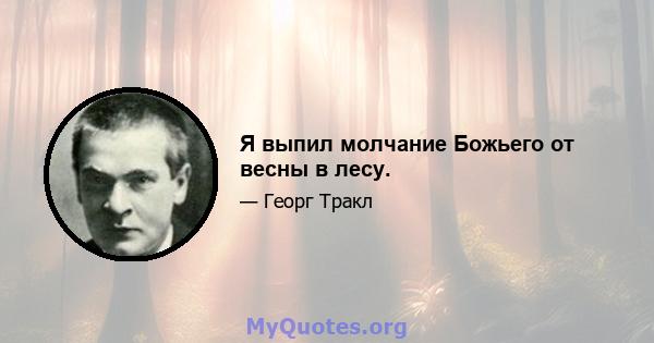 Я выпил молчание Божьего от весны в лесу.