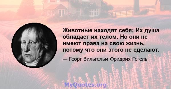 Животные находят себя; Их душа обладает их телом. Но они не имеют права на свою жизнь, потому что они этого не сделают.