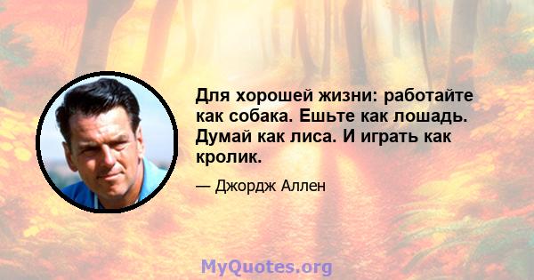 Для хорошей жизни: работайте как собака. Ешьте как лошадь. Думай как лиса. И играть как кролик.