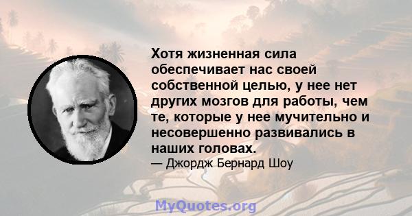 Хотя жизненная сила обеспечивает нас своей собственной целью, у нее нет других мозгов для работы, чем те, которые у нее мучительно и несовершенно развивались в наших головах.