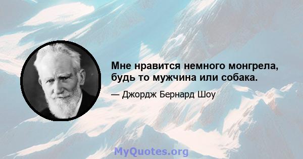 Мне нравится немного монгрела, будь то мужчина или собака.