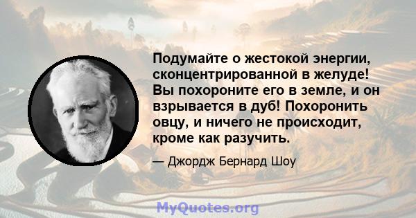 Подумайте о жестокой энергии, сконцентрированной в желуде! Вы похороните его в земле, и он взрывается в дуб! Похоронить овцу, и ничего не происходит, кроме как разучить.