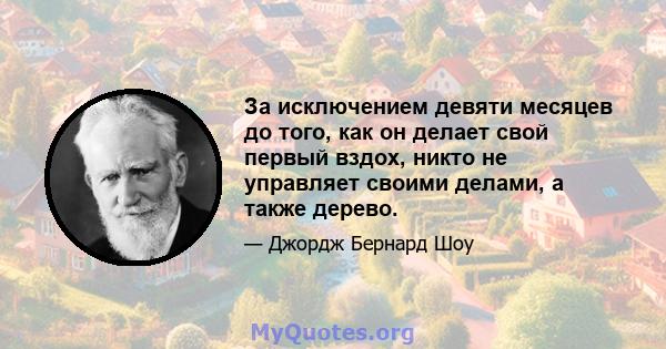 За исключением девяти месяцев до того, как он делает свой первый вздох, никто не управляет своими делами, а также дерево.