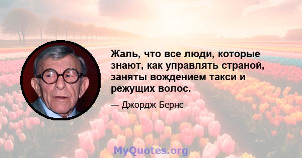 Жаль, что все люди, которые знают, как управлять страной, заняты вождением такси и режущих волос.