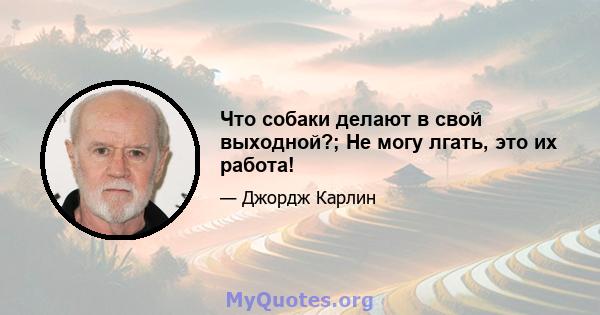 Что собаки делают в свой выходной?; Не могу лгать, это их работа!