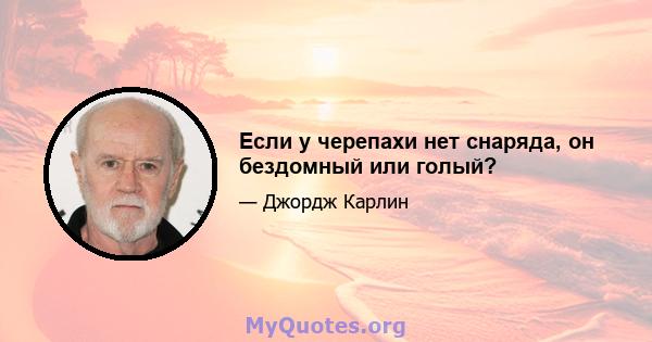 Если у черепахи нет снаряда, он бездомный или голый?