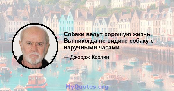 Собаки ведут хорошую жизнь. Вы никогда не видите собаку с наручными часами.