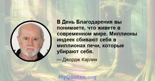 В День Благодарения вы понимаете, что живете в современном мире. Миллионы индеек сбивают себя в миллионах печи, которые убирают себя.