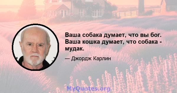 Ваша собака думает, что вы бог. Ваша кошка думает, что собака - мудак.