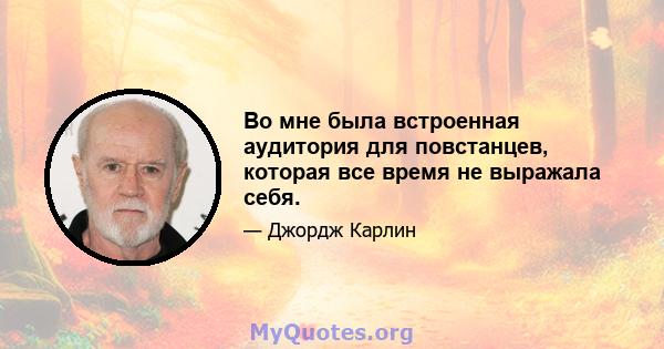 Во мне была встроенная аудитория для повстанцев, которая все время не выражала себя.