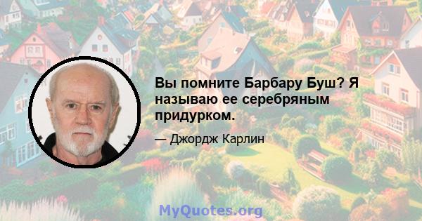 Вы помните Барбару Буш? Я называю ее серебряным придурком.