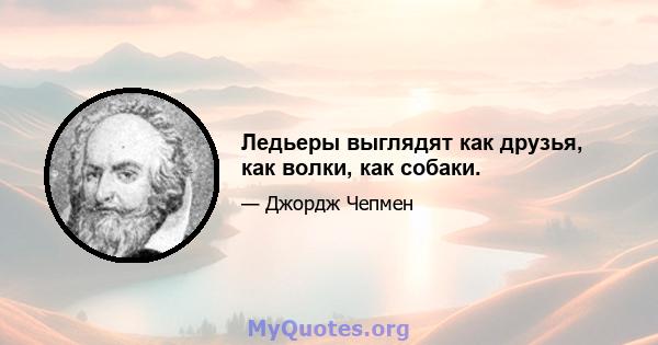 Ледьеры выглядят как друзья, как волки, как собаки.