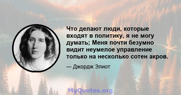 Что делают люди, которые входят в политику, я не могу думать; Меня почти безумно видит неумелое управление только на несколько сотен акров.