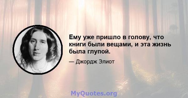 Ему уже пришло в голову, что книги были вещами, и эта жизнь была глупой.