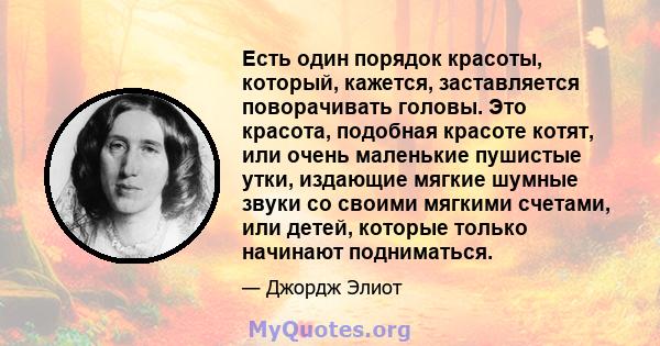 Есть один порядок красоты, который, кажется, заставляется поворачивать головы. Это красота, подобная красоте котят, или очень маленькие пушистые утки, издающие мягкие шумные звуки со своими мягкими счетами, или детей,