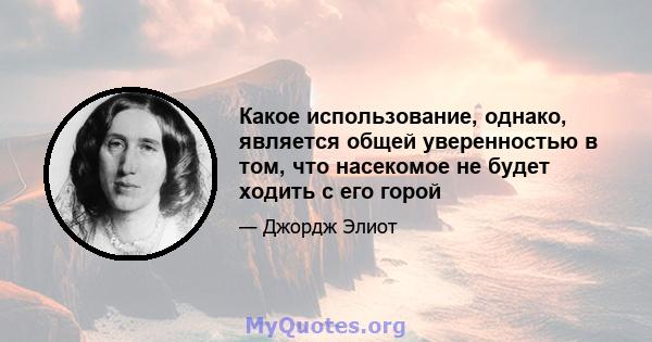 Какое использование, однако, является общей уверенностью в том, что насекомое не будет ходить с его горой