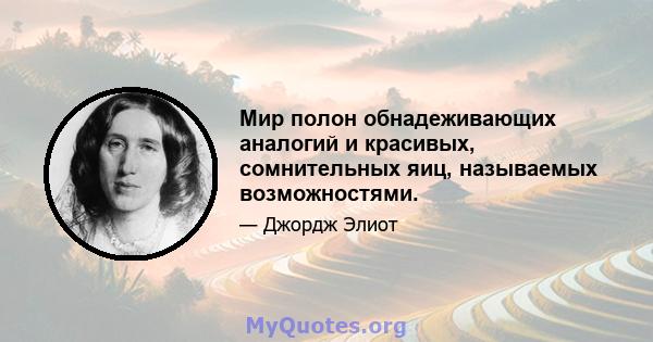 Мир полон обнадеживающих аналогий и красивых, сомнительных яиц, называемых возможностями.