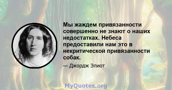 Мы жаждем привязанности совершенно не знают о наших недостатках. Небеса предоставили нам это в некритической привязанности собак.