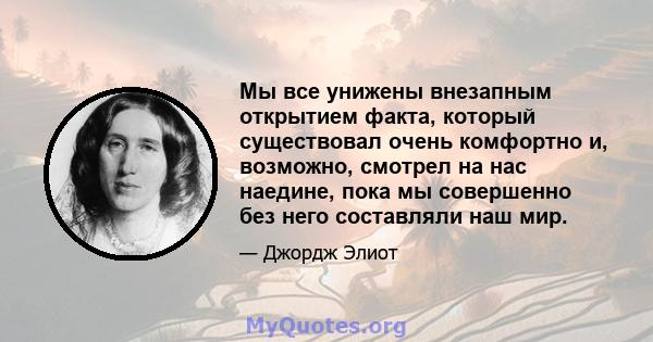 Мы все унижены внезапным открытием факта, который существовал очень комфортно и, возможно, смотрел на нас наедине, пока мы совершенно без него составляли наш мир.