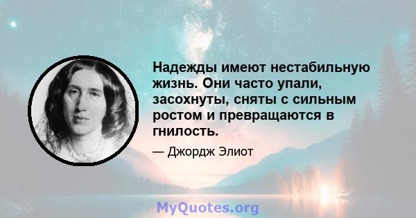 Надежды имеют нестабильную жизнь. Они часто упали, засохнуты, сняты с сильным ростом и превращаются в гнилость.