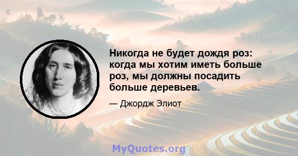 Никогда не будет дождя роз: когда мы хотим иметь больше роз, мы должны посадить больше деревьев.