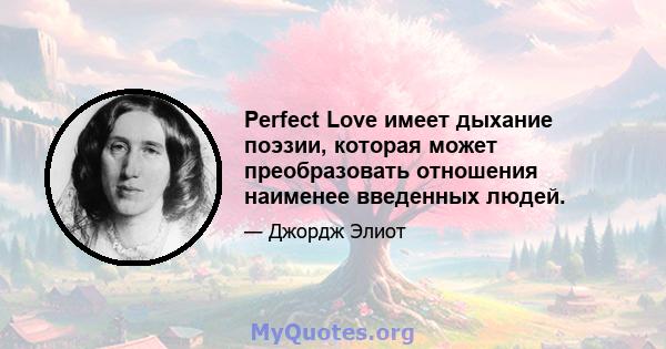 Perfect Love имеет дыхание поэзии, которая может преобразовать отношения наименее введенных людей.