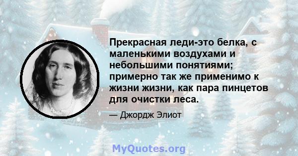 Прекрасная леди-это белка, с маленькими воздухами и небольшими понятиями; примерно так же применимо к жизни жизни, как пара пинцетов для очистки леса.