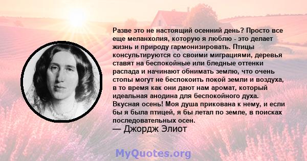 Разве это не настоящий осенний день? Просто все еще меланхолия, которую я люблю - это делает жизнь и природу гармонизировать. Птицы консультируются со своими миграциями, деревья ставят на беспокойные или бледные оттенки 