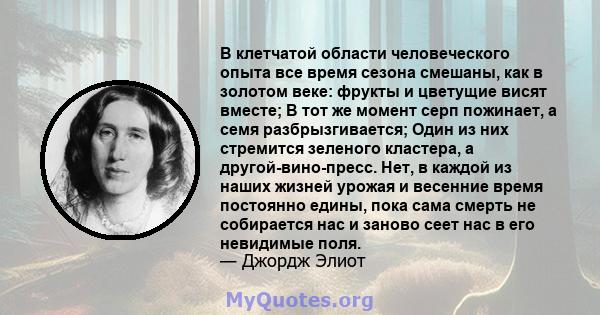 В клетчатой ​​области человеческого опыта все время сезона смешаны, как в золотом веке: фрукты и цветущие висят вместе; В тот же момент серп пожинает, а семя разбрызгивается; Один из них стремится зеленого кластера, а