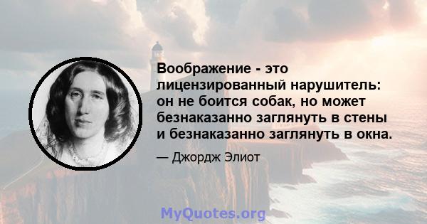 Воображение - это лицензированный нарушитель: он не боится собак, но может безнаказанно заглянуть в стены и безнаказанно заглянуть в окна.