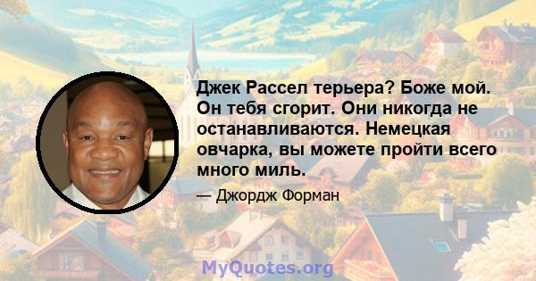 Джек Рассел терьера? Боже мой. Он тебя сгорит. Они никогда не останавливаются. Немецкая овчарка, вы можете пройти всего много миль.