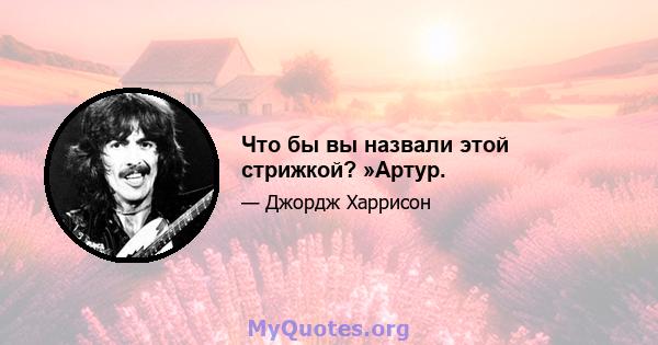 Что бы вы назвали этой стрижкой? »Артур.