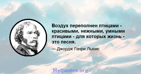 Воздух переполнен птицами - красивыми, нежными, умными птицами - для которых жизнь - это песня.