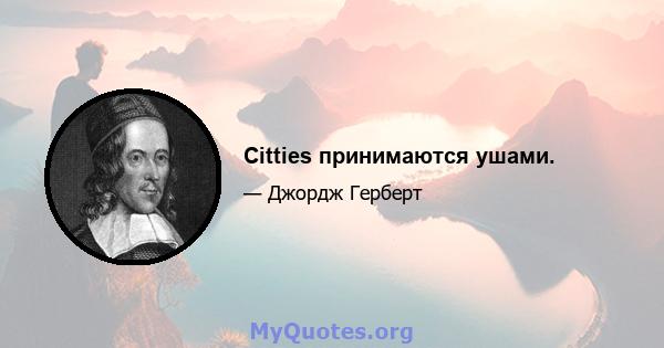 Citties принимаются ушами.