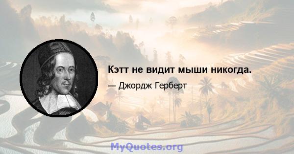 Кэтт не видит мыши никогда.