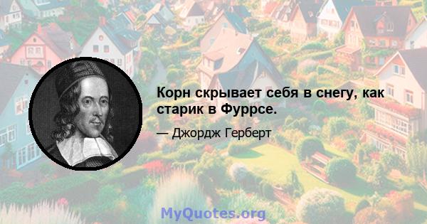 Корн скрывает себя в снегу, как старик в Фуррсе.