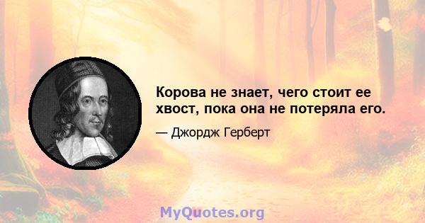 Корова не знает, чего стоит ее хвост, пока она не потеряла его.