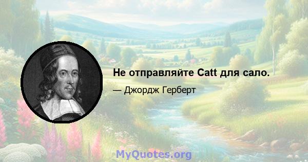 Не отправляйте Catt для сало.