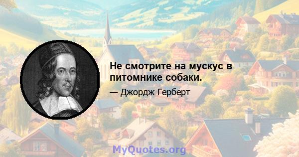 Не смотрите на мускус в питомнике собаки.