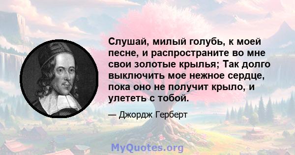 Слушай, милый голубь, к моей песне, и распространите во мне свои золотые крылья; Так долго выключить мое нежное сердце, пока оно не получит крыло, и улететь с тобой.