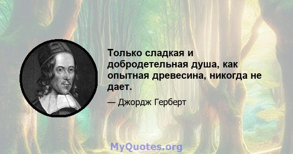 Только сладкая и добродетельная душа, как опытная древесина, никогда не дает.