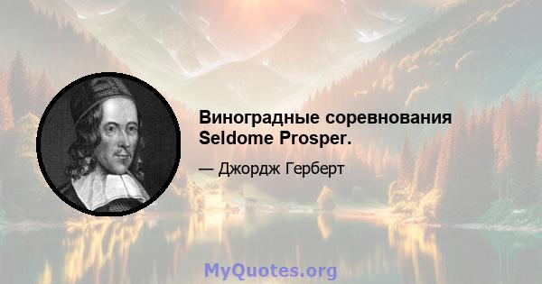 Виноградные соревнования Seldome Prosper.