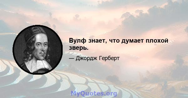 Вулф знает, что думает плохой зверь.