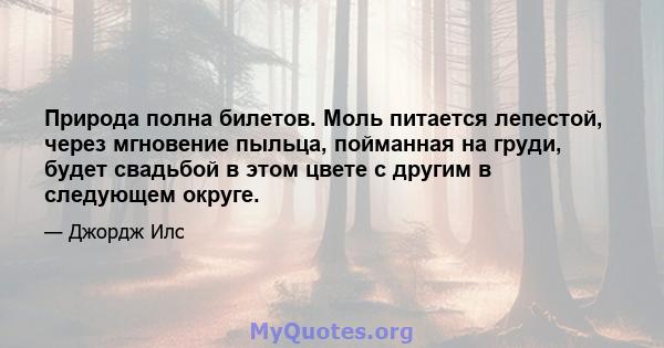 Природа полна билетов. Моль питается лепестой, через мгновение пыльца, пойманная на груди, будет свадьбой в этом цвете с другим в следующем округе.