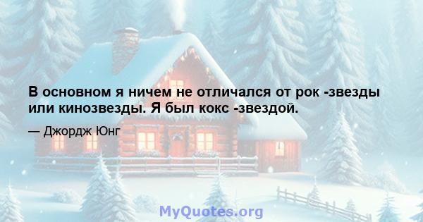 В основном я ничем не отличался от рок -звезды или кинозвезды. Я был кокс -звездой.